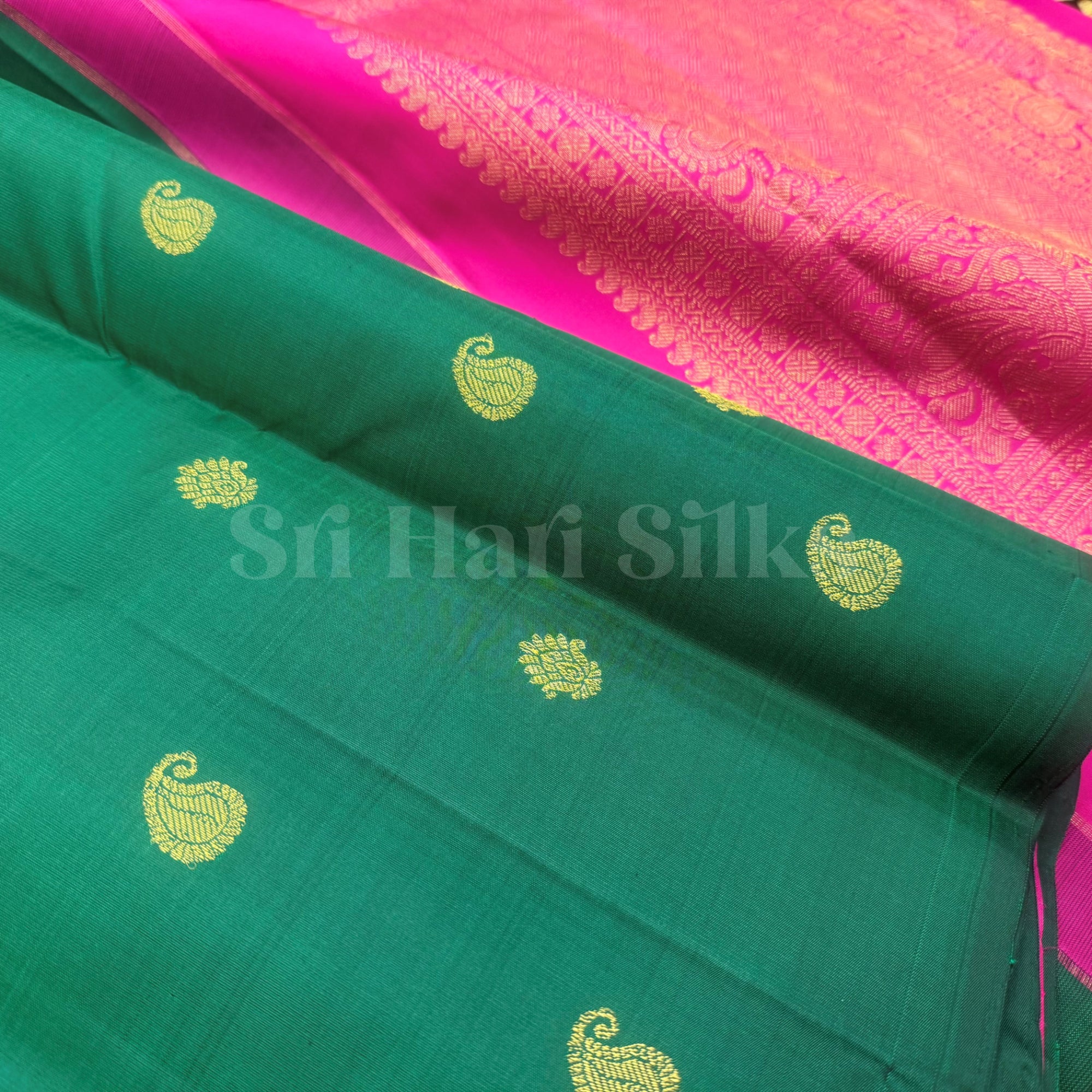 SHS9797 Kanchipuram Handloom Silk Saree