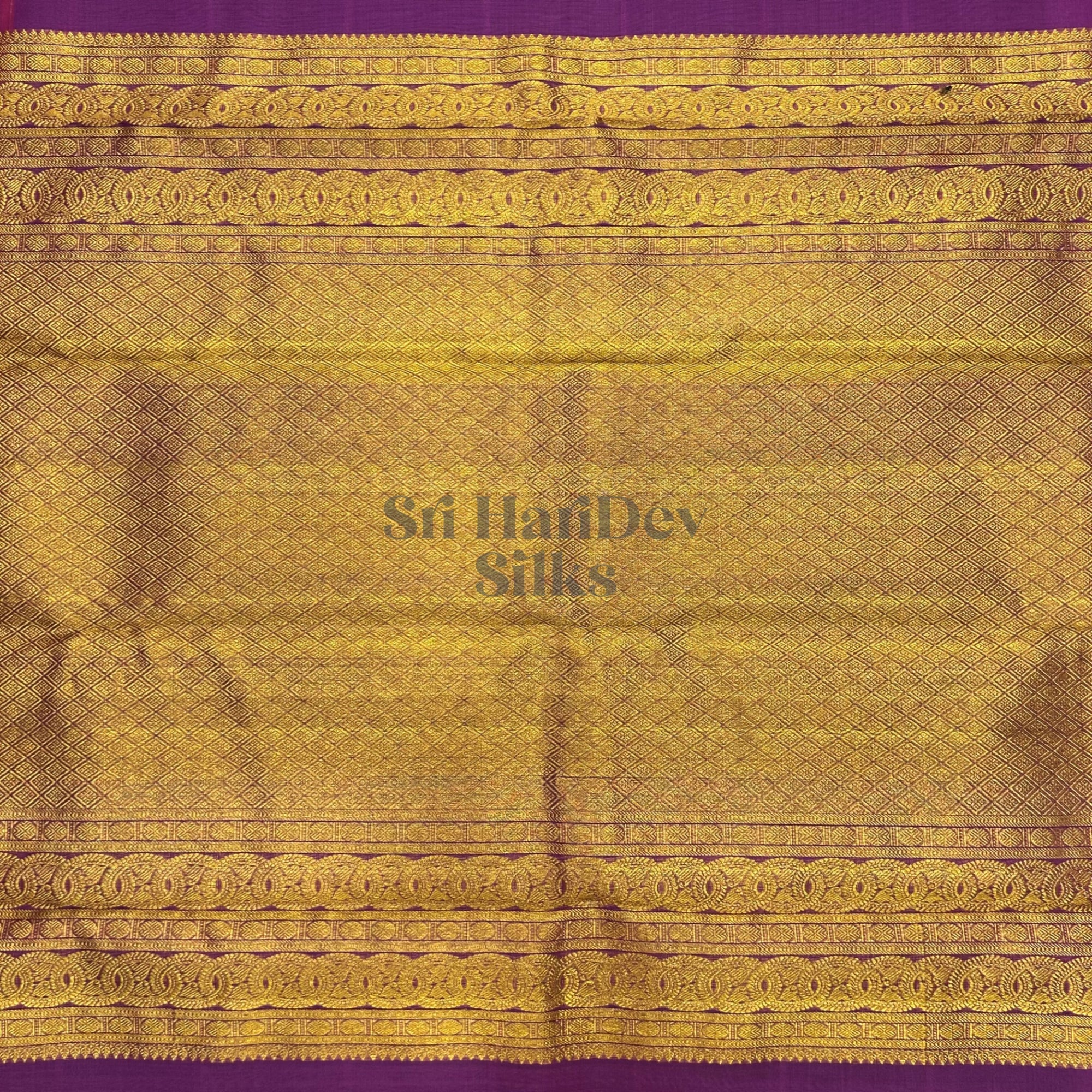 SHS8779 Kanchipuram Handloom Organza Silk Saree
